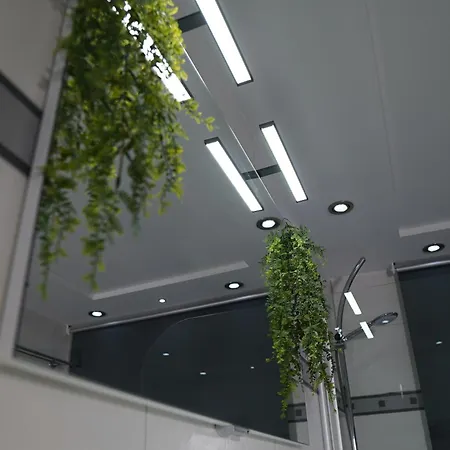 Dreams Im Erdgeschoss